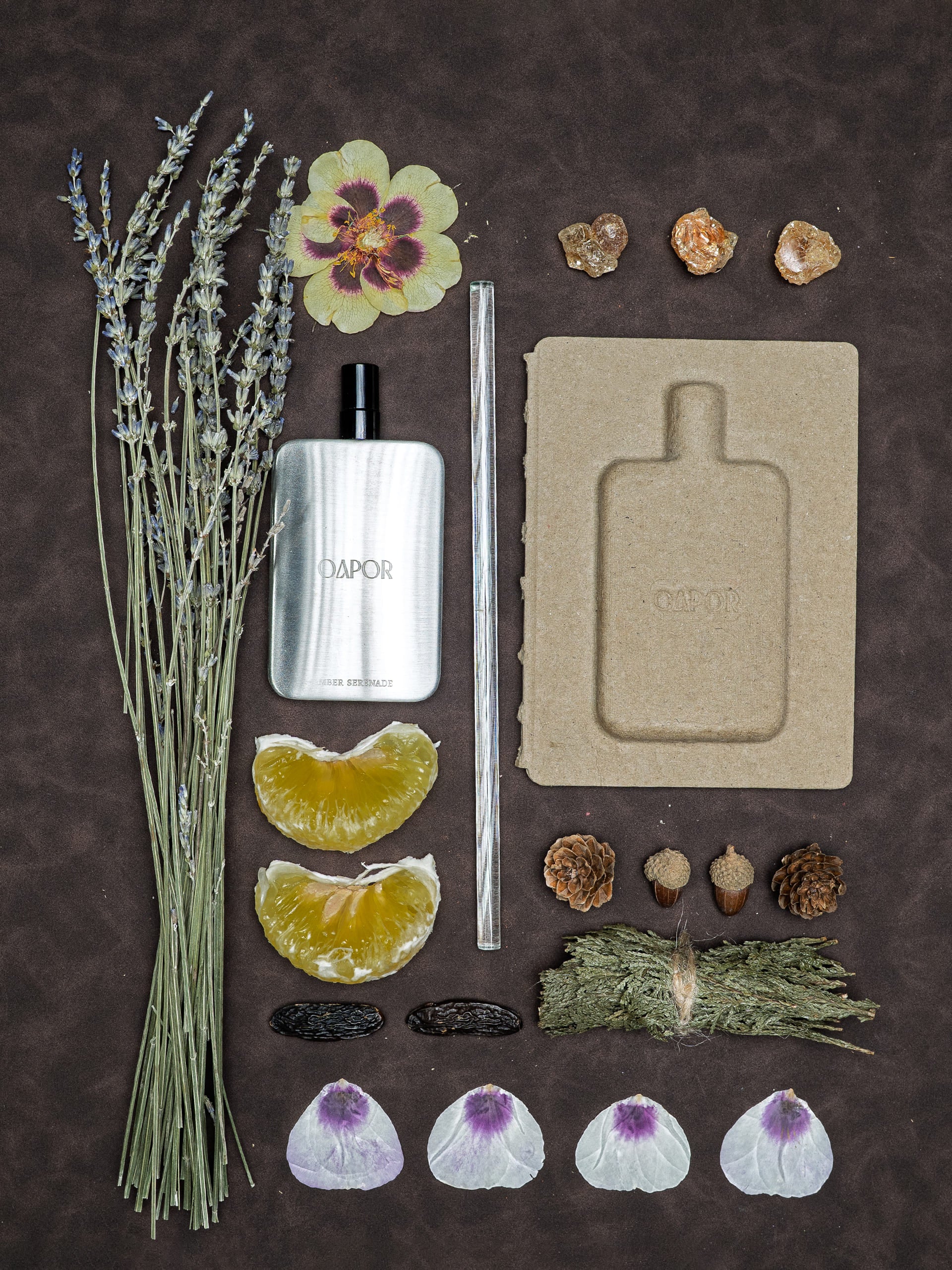 AMBER SERENADE - Featherlight Edition