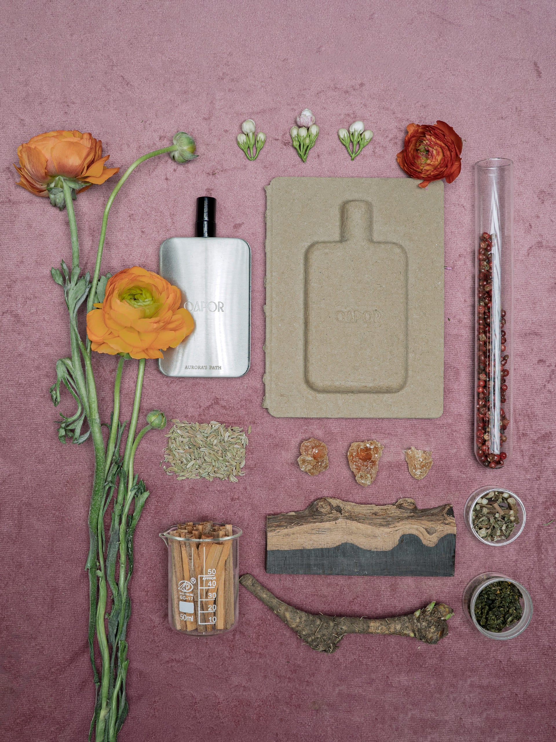 AURORA'S PATH - Featherlight Edition