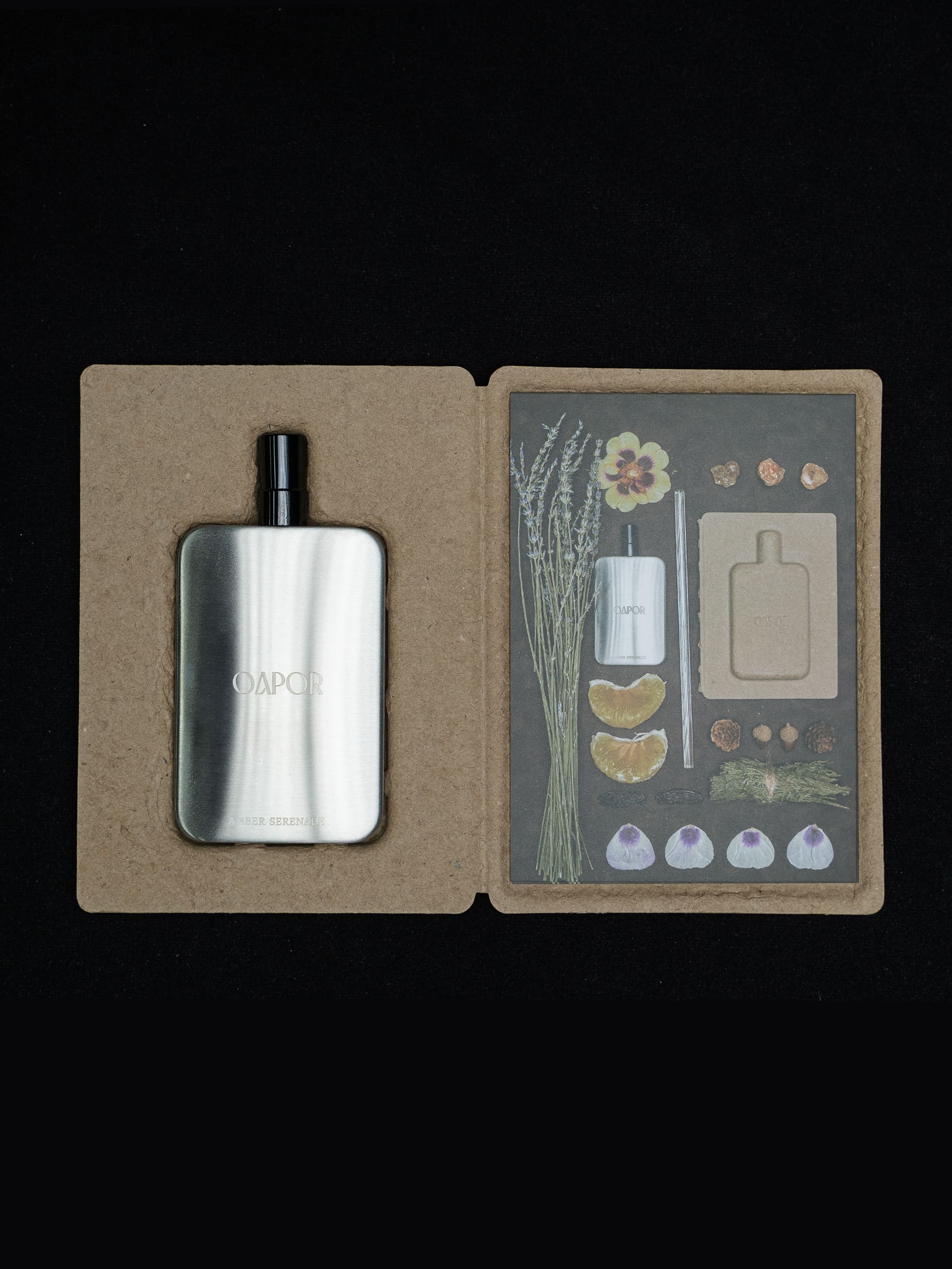 AMBER SERENADE - Featherlight Edition