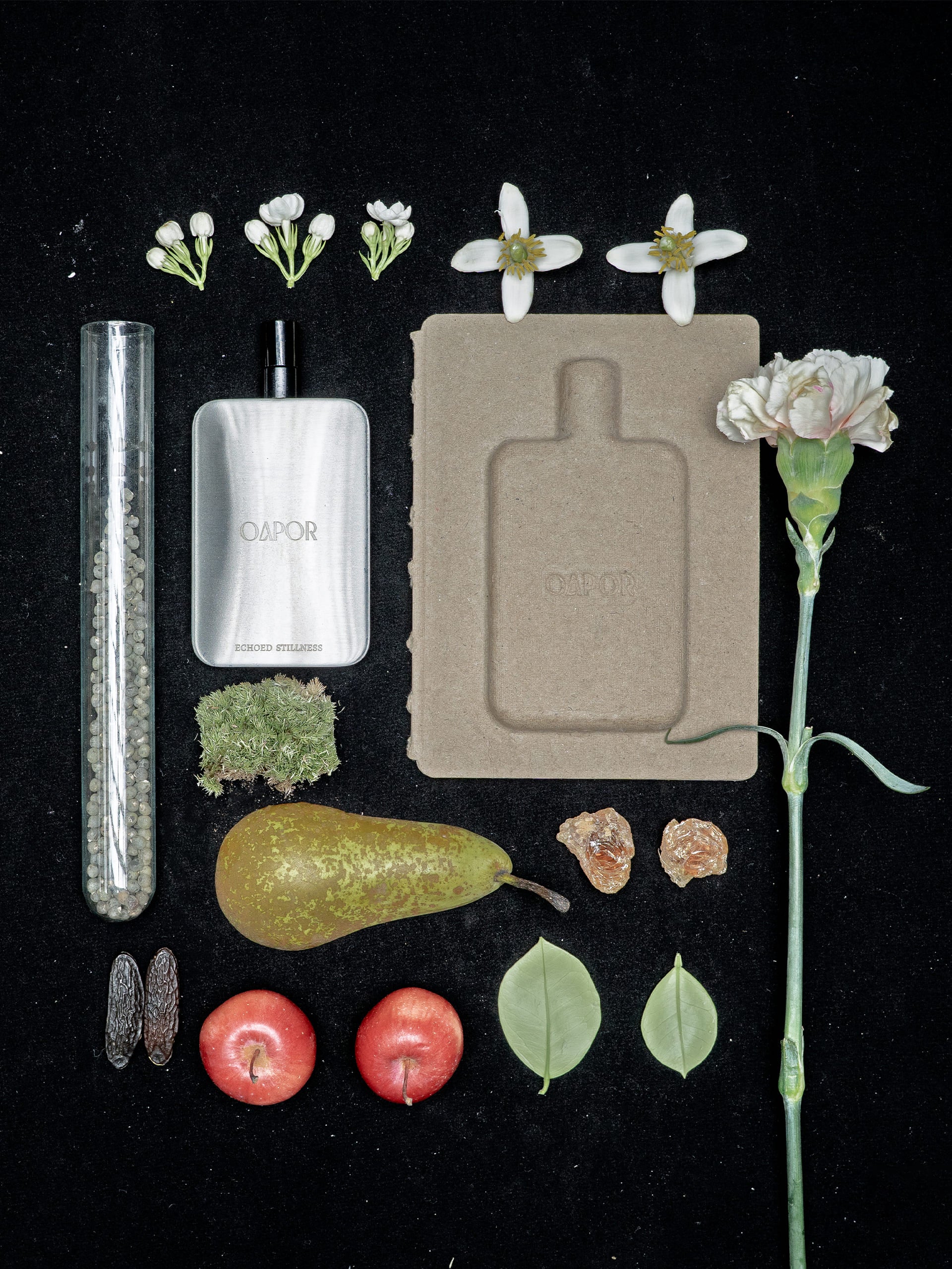 ECHOED STILLNESS - Featherlight Edition