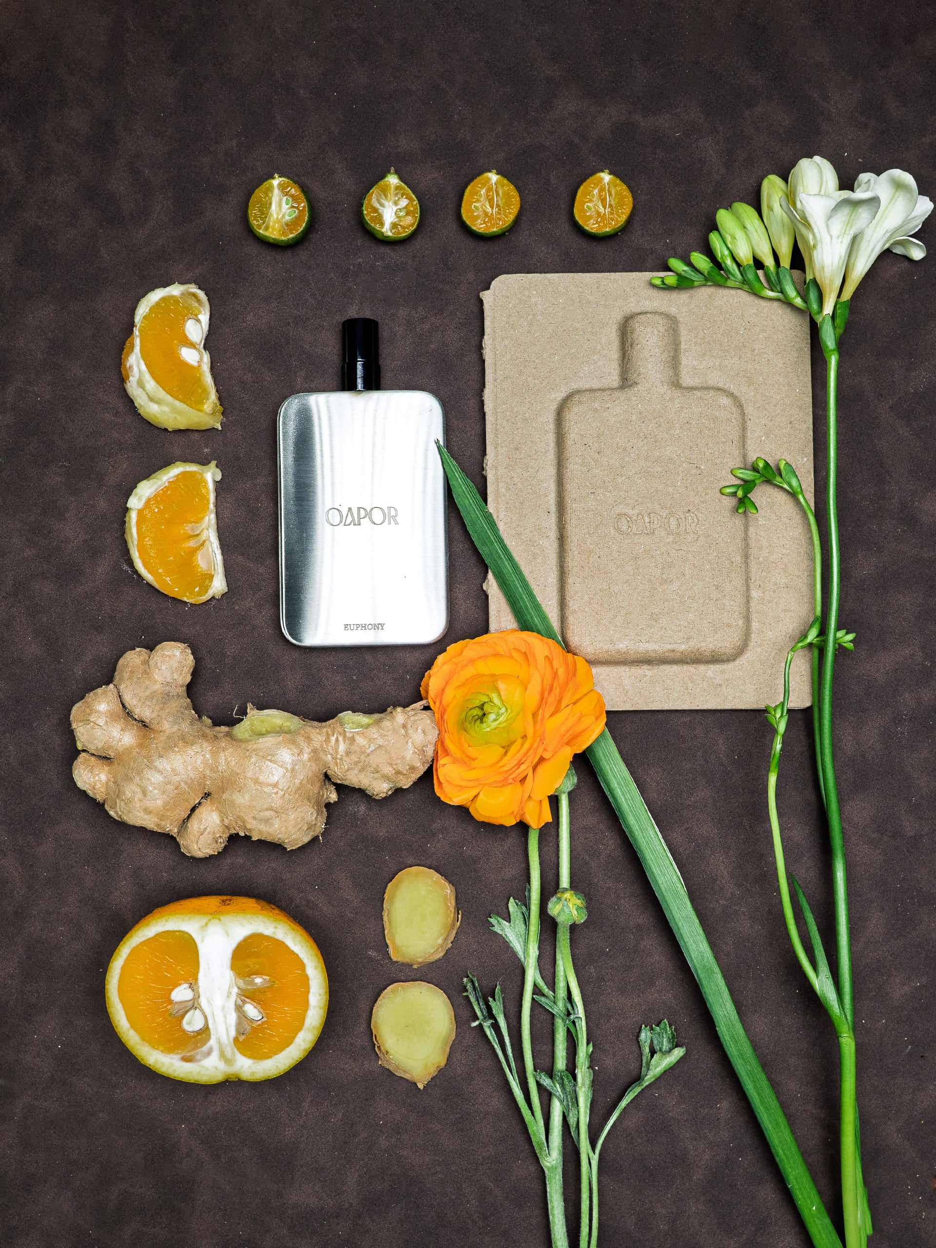 EUPHONY - Featherlight Edition