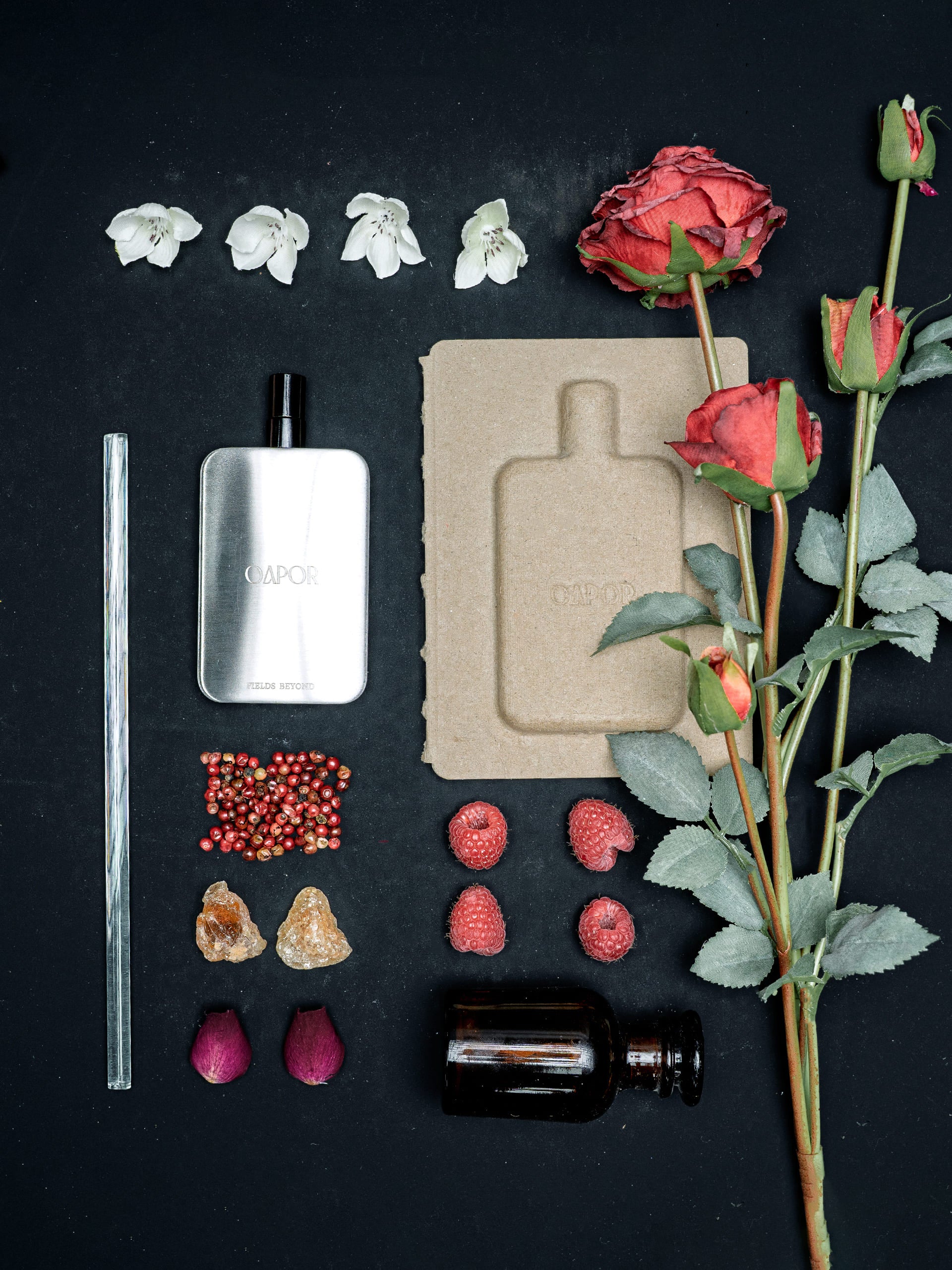 FIELDS BEYOND - Featherlight Edition