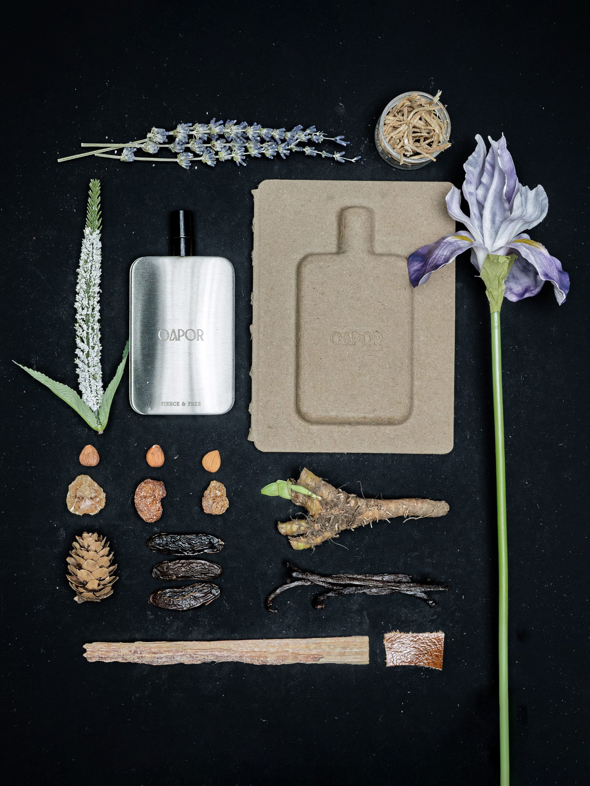 FIERCE & FREE - Featherlight Edition