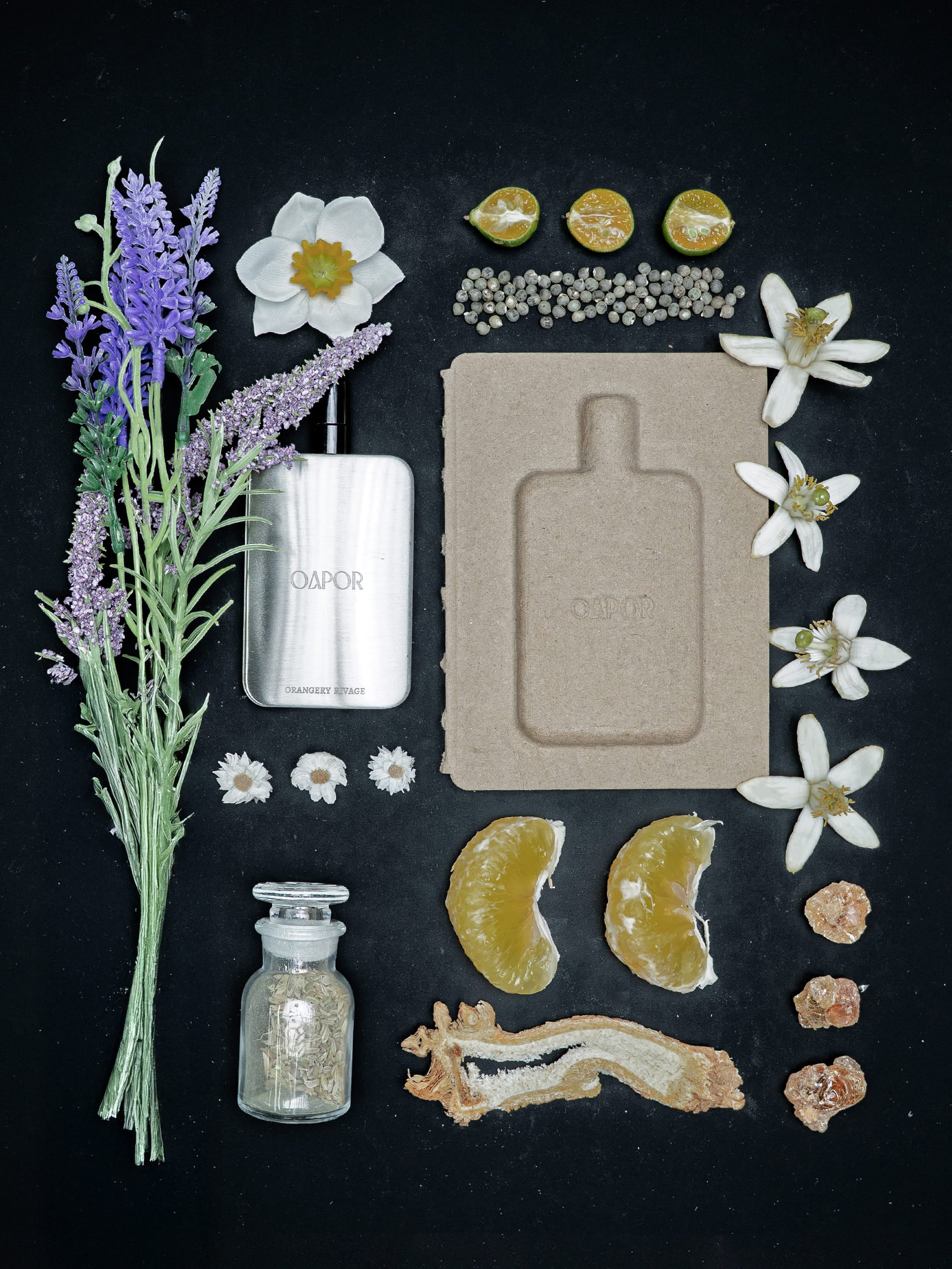 ORANGERY RIVAGE - Featherlight Edition