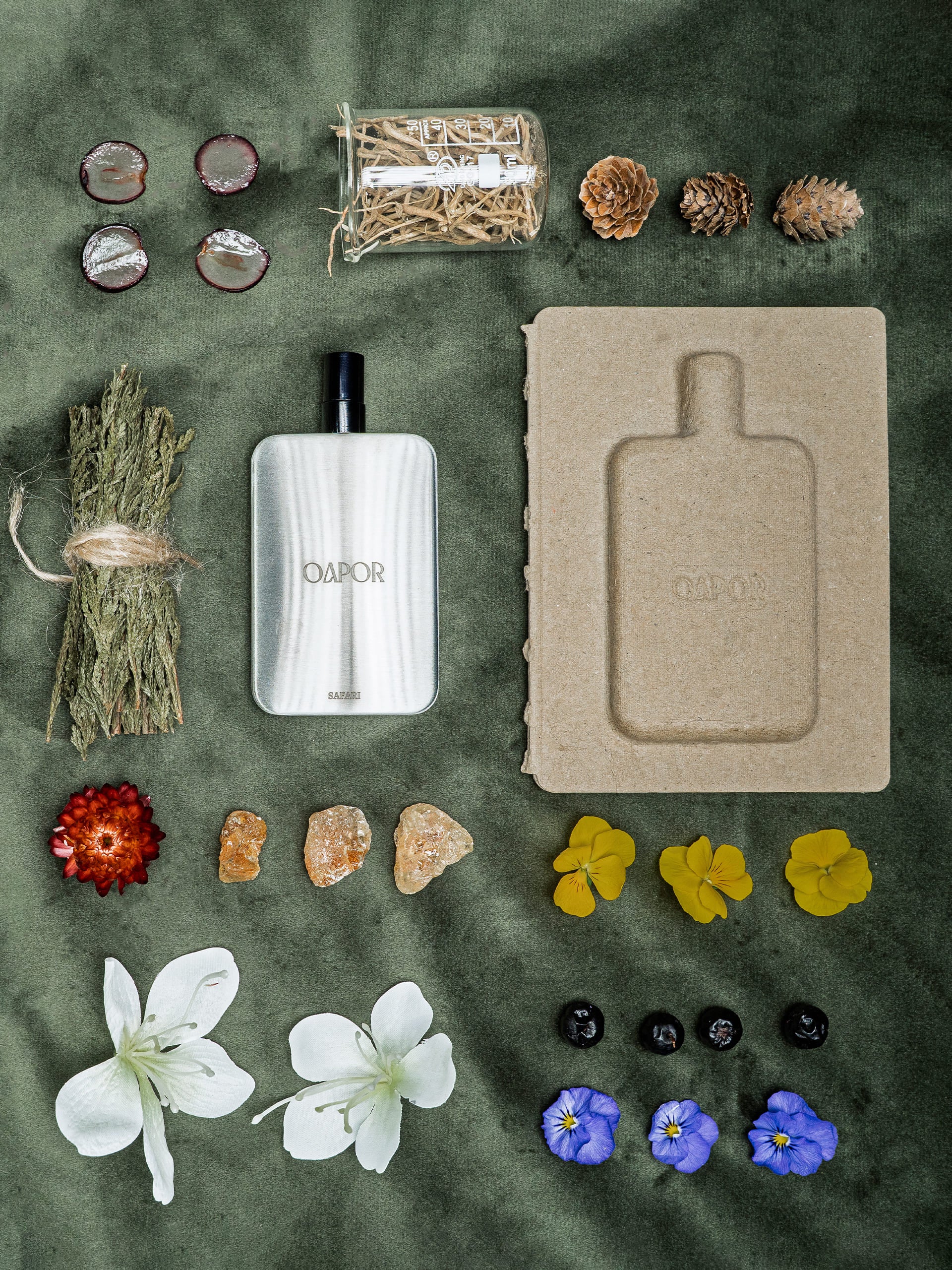 SAFARI - Featherlight Edition