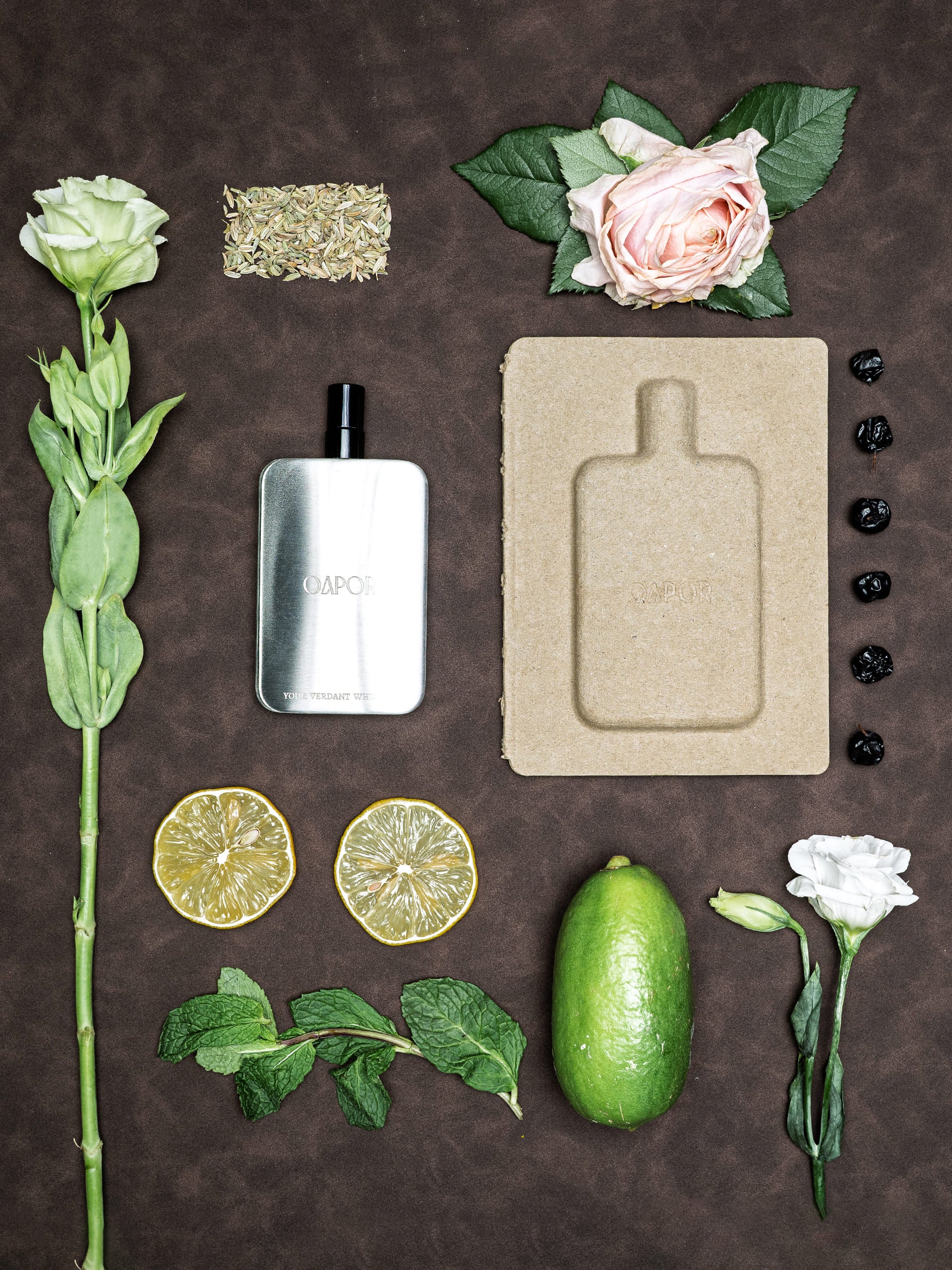 YOUR VERDANT WHISPER - Featherlight Edition